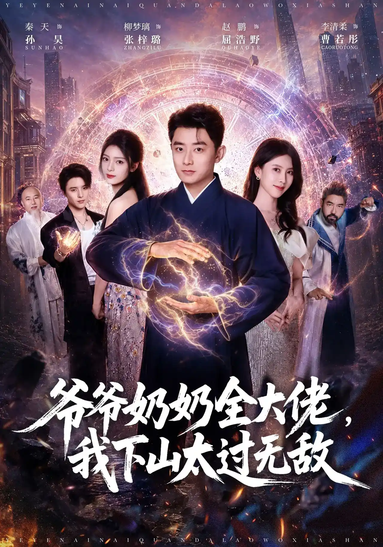 剧集 东北婆婆，笑护全家